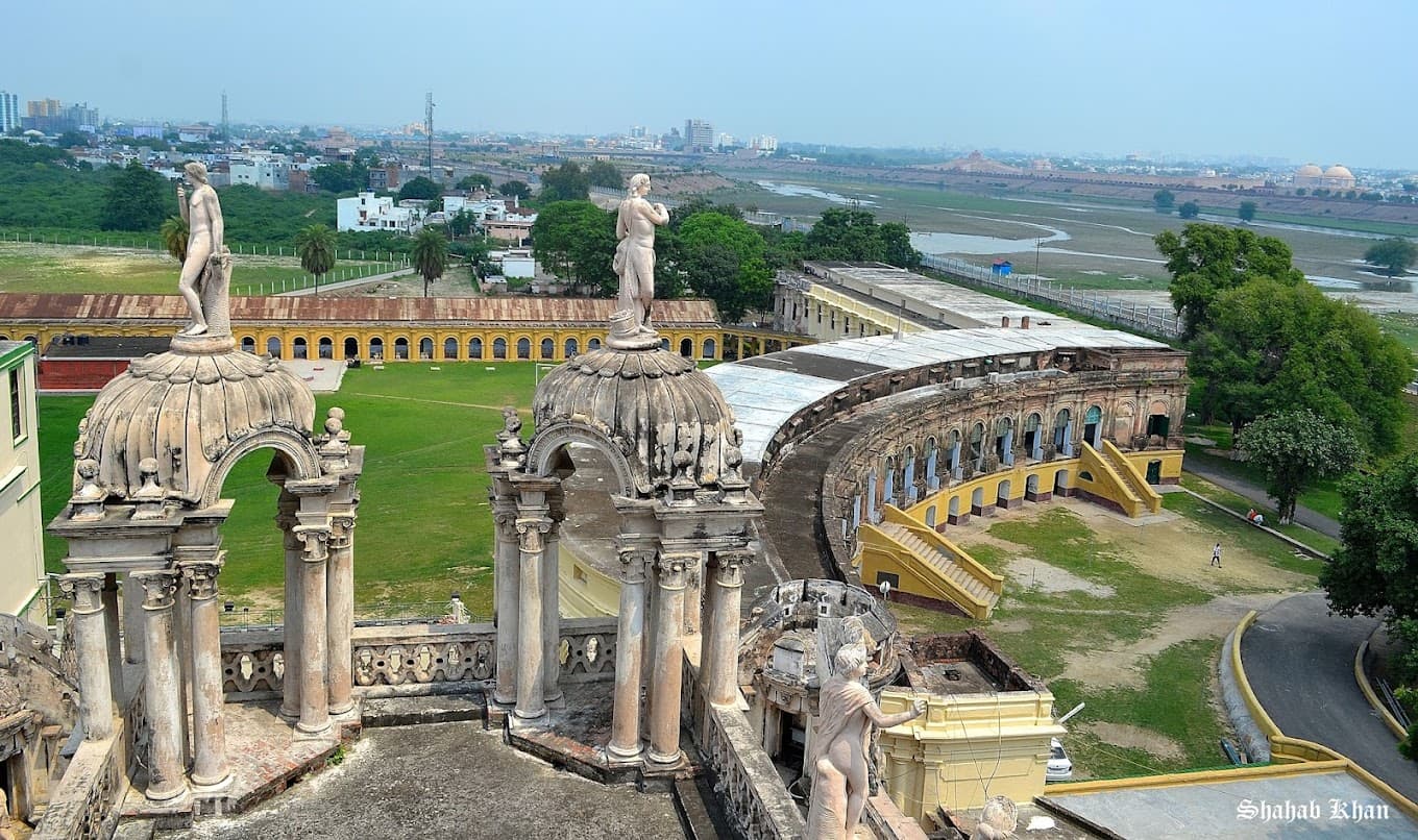 View All