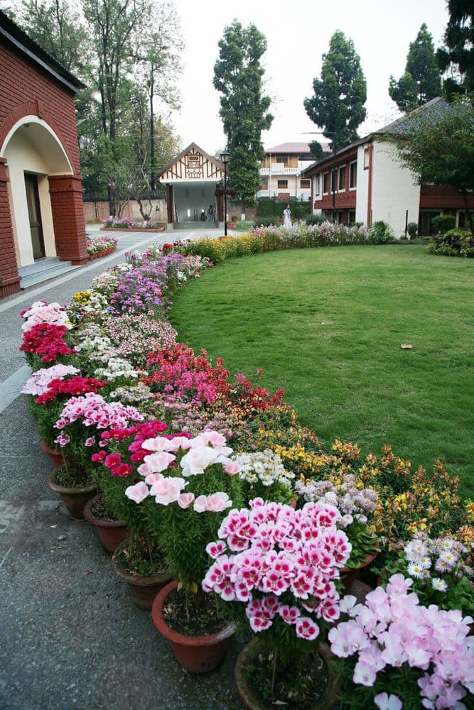 View All