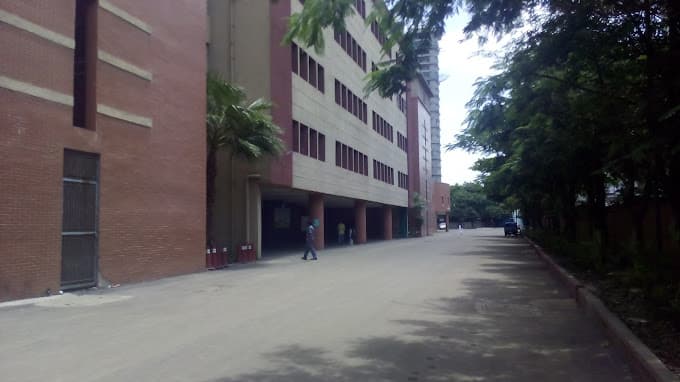 View All