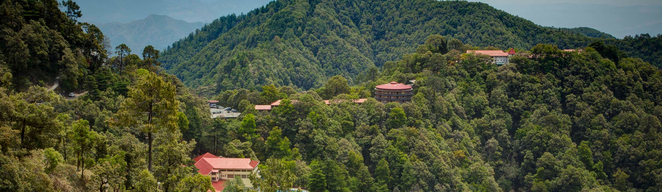 View All