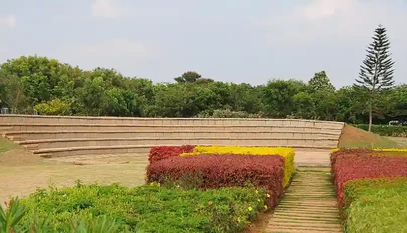 View All