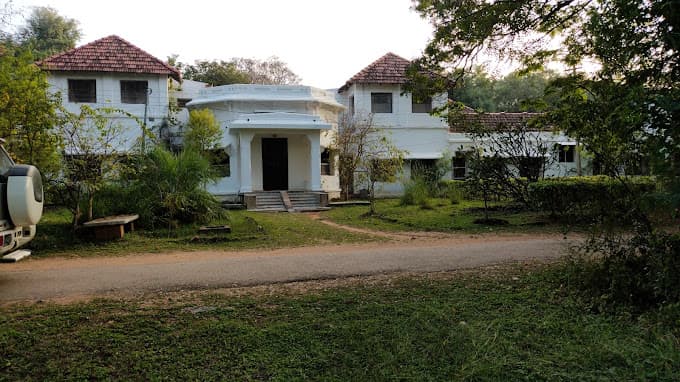 View All