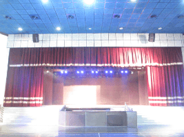 View All