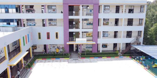 View All